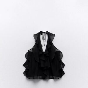 Zara Semi- Sheer Ruffled Top